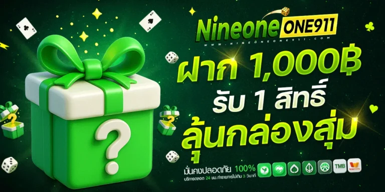 nineoneone911-promotion4